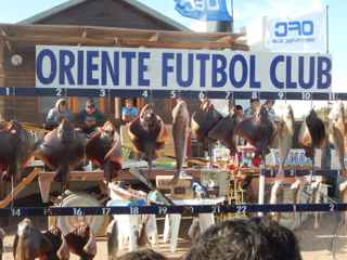 Concurso de pesca