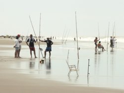 Concurso Pesca
