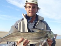 Pesca
